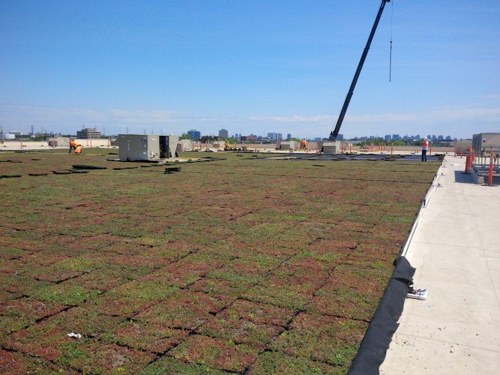 Photo of a commercial flat roof