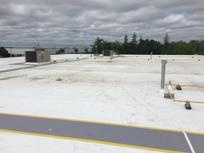 Photo of a roof top on Pinebush Road in Cambridge, Ontario