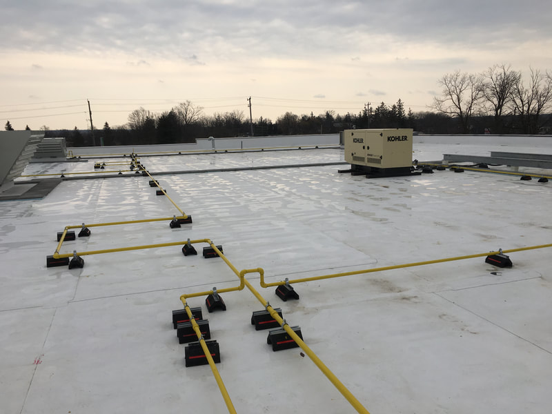 Photo of a Food Basics roof top located in Calendonia, Ontario